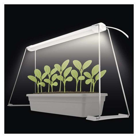 LED лампа для растений EMOS Z7903 15W с таймером