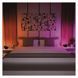 GoSmart LED Ambient лампа, чорний, теплий білий&ndash;холодний білий/ RGB, WiFi ZCW11BR ZCW11BR фото 20